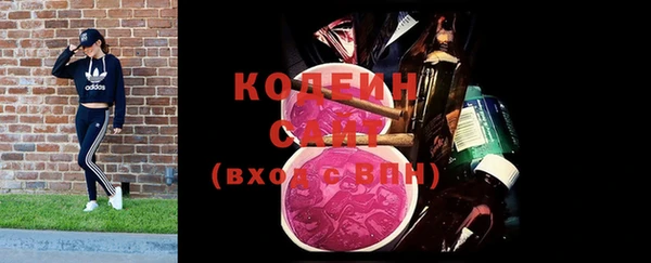 дживик Надым