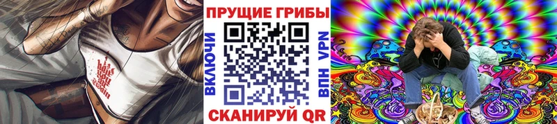 Купить где  Тюмень  Псилоцибиновые грибы Psilocybe 